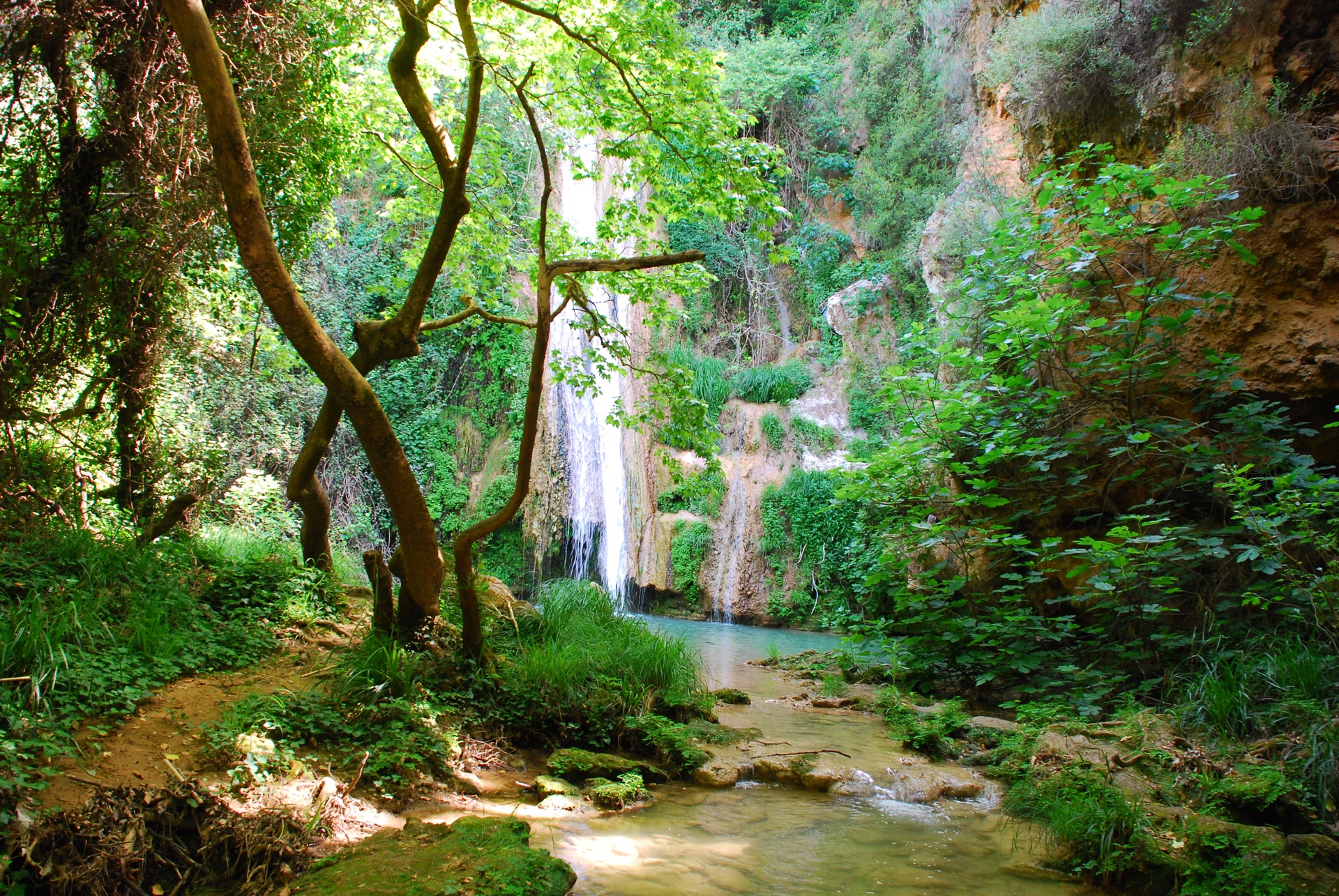 WATERFALL KALAMARI